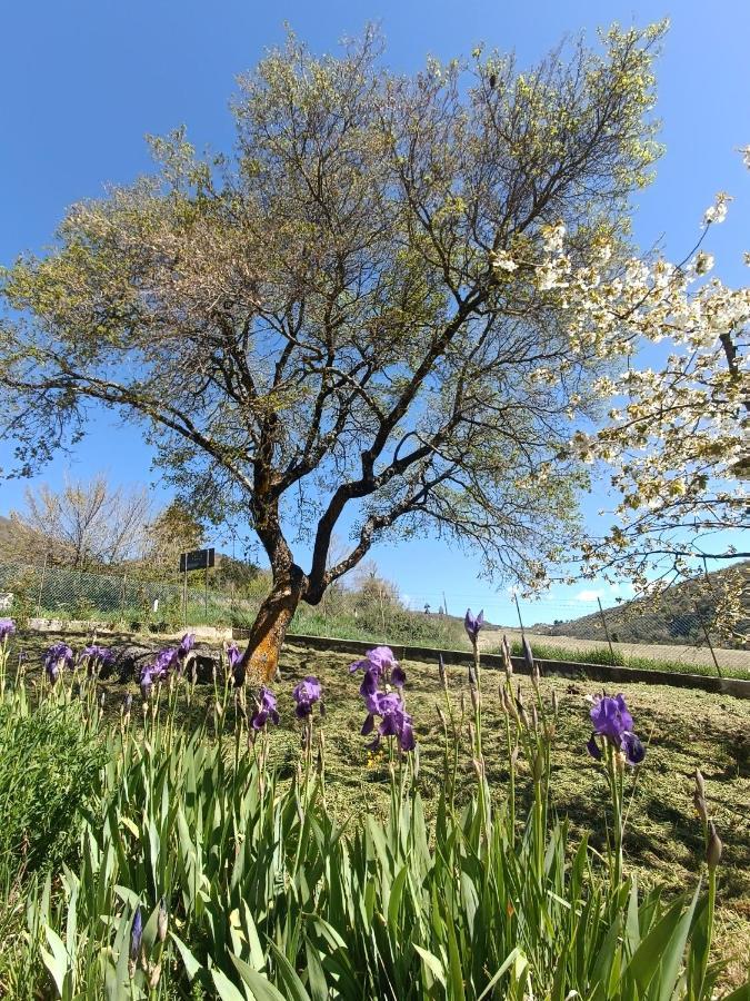 Agriturismo Terramia Meggiano Dış mekan fotoğraf