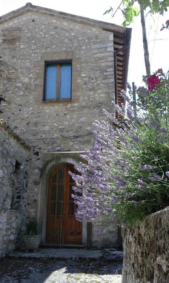 Agriturismo Terramia Meggiano Dış mekan fotoğraf