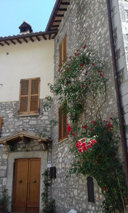 Agriturismo Terramia Meggiano Dış mekan fotoğraf