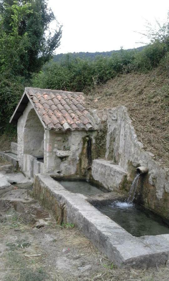Agriturismo Terramia Meggiano Dış mekan fotoğraf